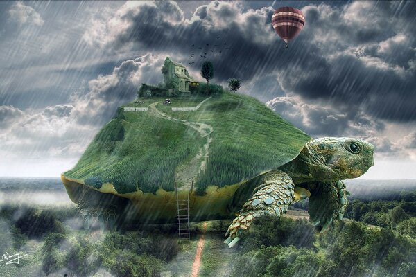 Riesenschildkröte Haus im Regen