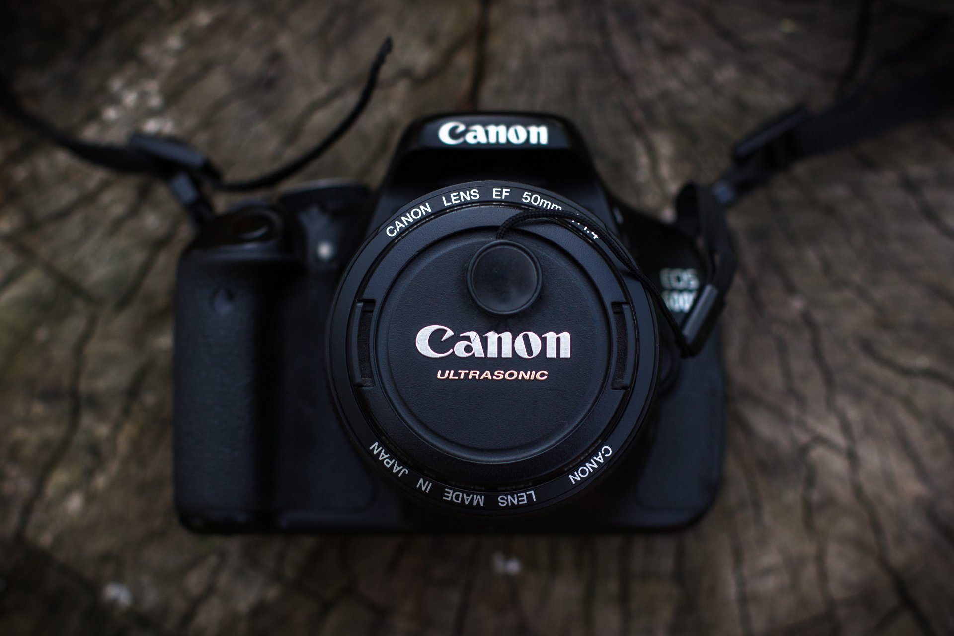 kamera canon holz objektiv