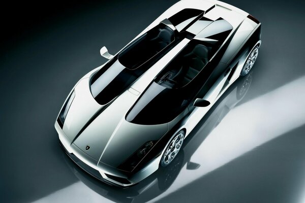 Lamborghini Silber Metallic Draufsicht