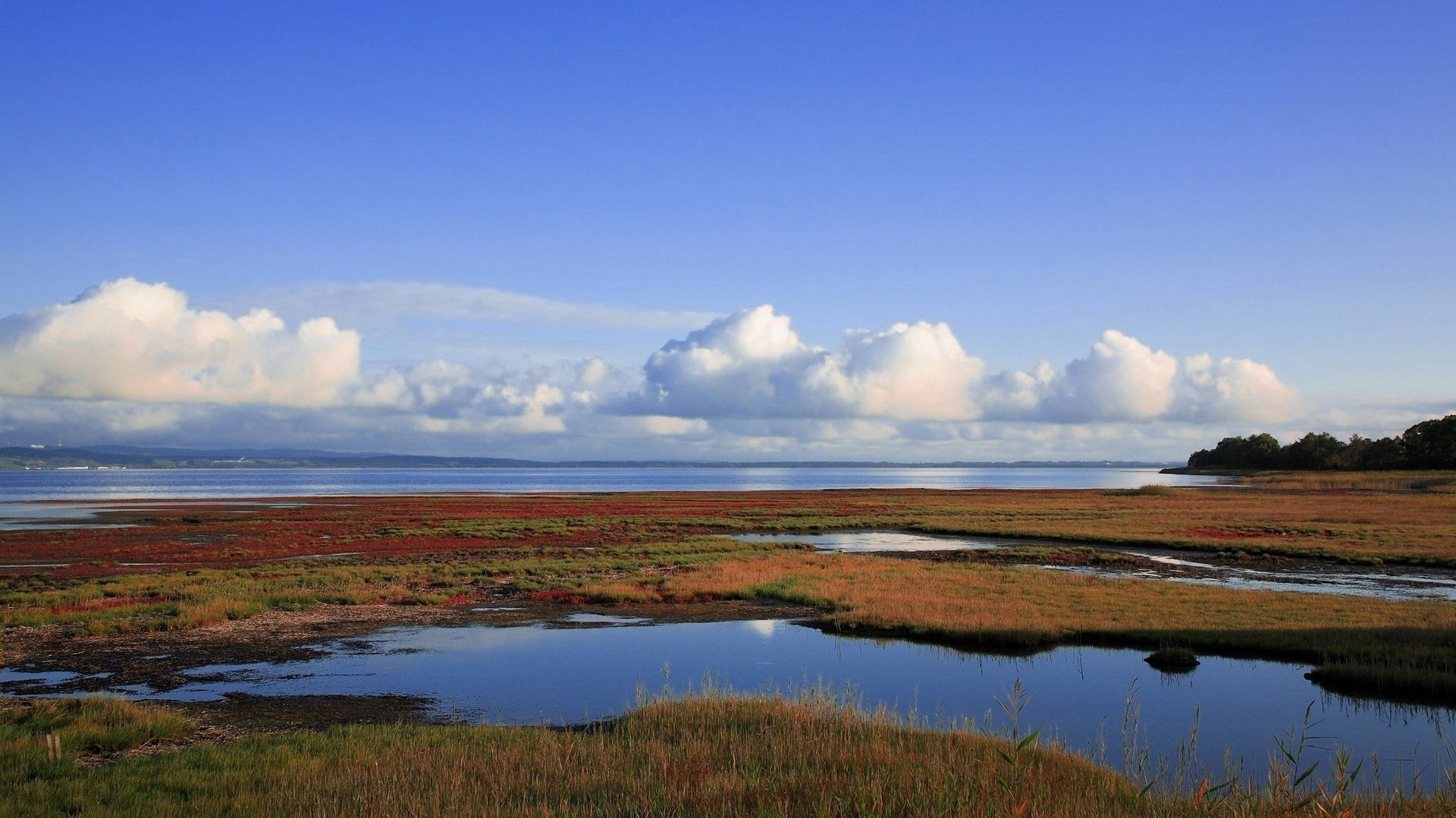 landspalten blaues wasser gras himmel wasser horizont wolken sumpf landschaft natur sommer