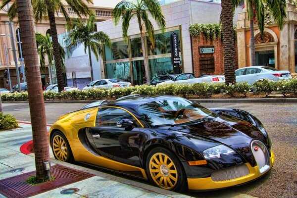 Der gelbe und schwarze Bugatti Sportwagen