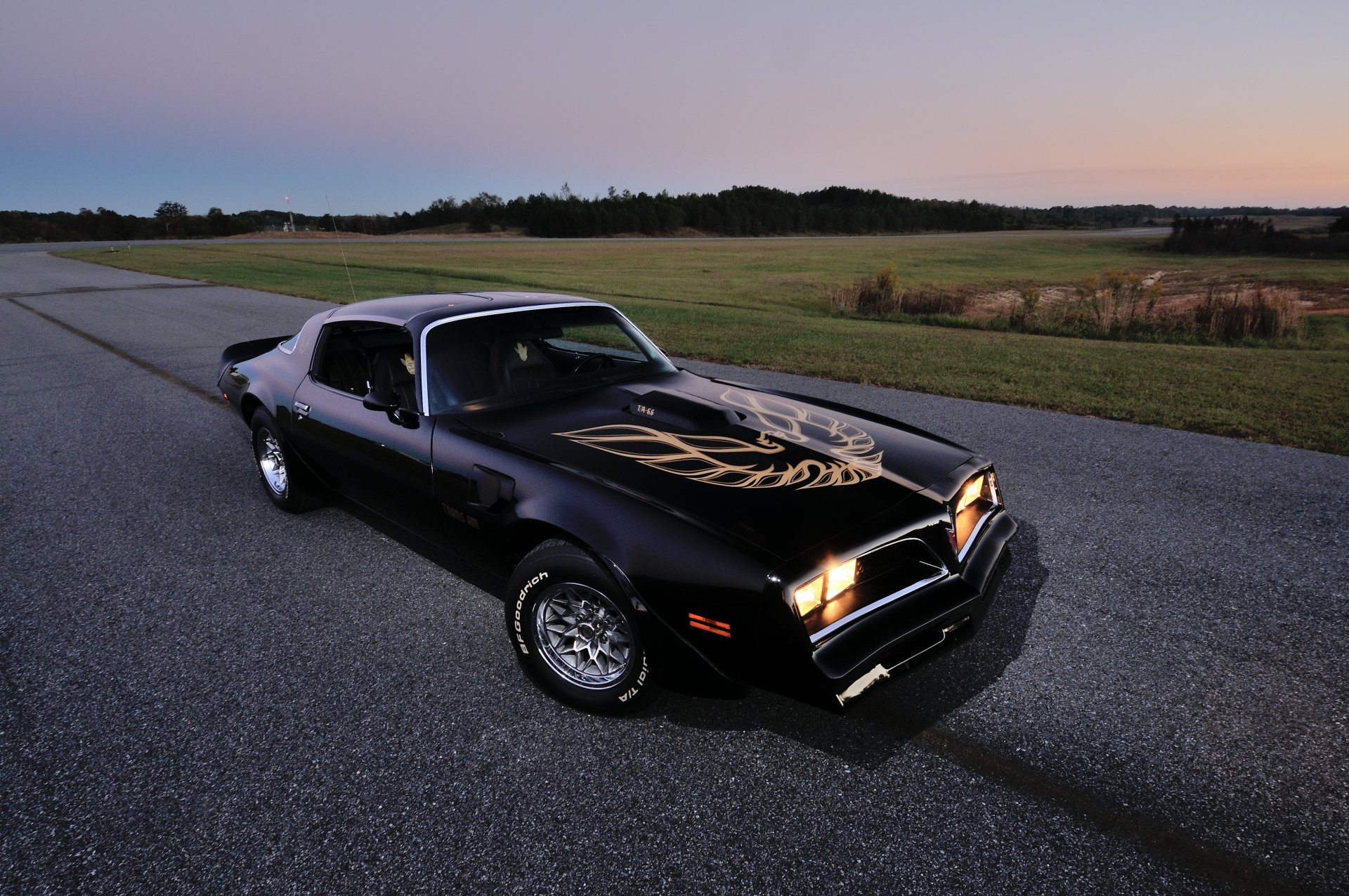 1978 pontiac feuervogel trans am ws6 t-top pontiac firebird