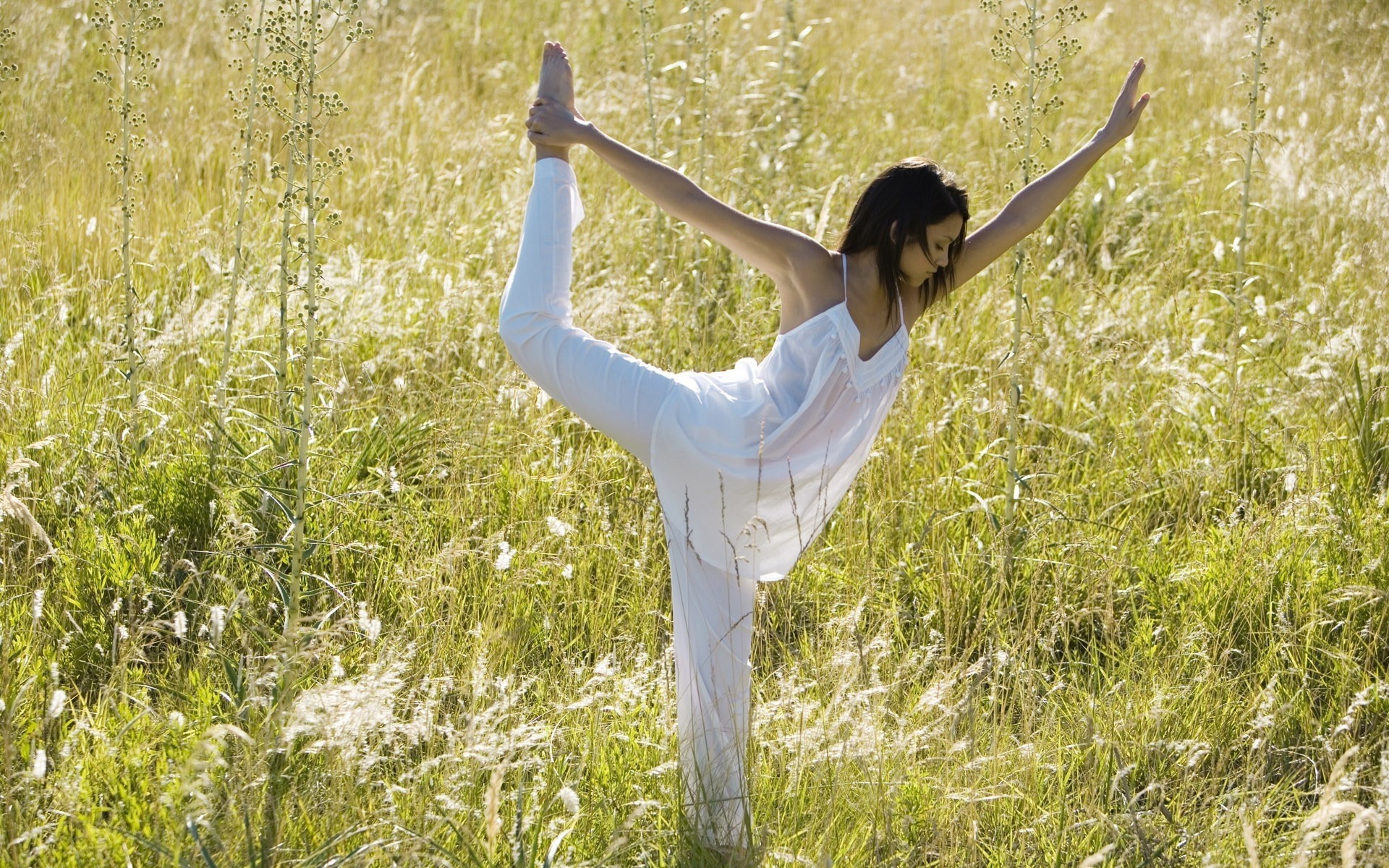 braunhaarig gras weiblich mig-15 mädchen