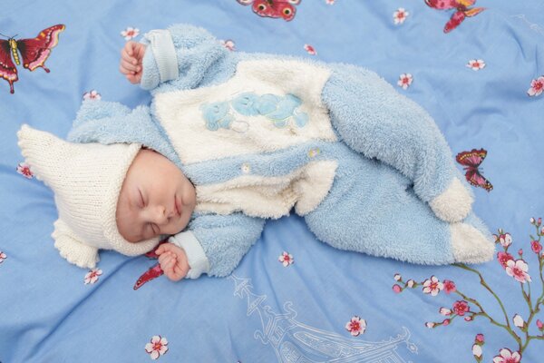 Rajenok auf einer blauen Decke mit Blumen