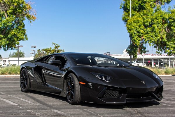 Schwarzer Lamborghini Aventador