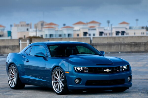 Blauer Chevrolet camaro ss auf Stadthintergrund