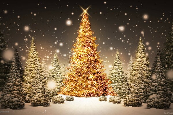 Weihnachtsbäume auf dem Hintergrund des Nachthimmels
