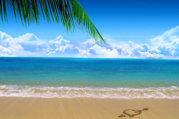 Foto von einem Strand mit Meer und einem Palmenzweig