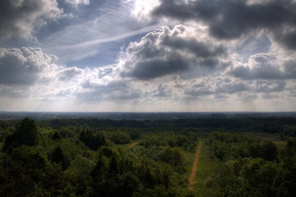 Schöne Wolken über Bäumen und Straße