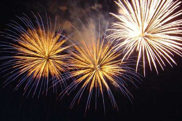 Heller Nachtgruß mit Feuerwerkskörpern