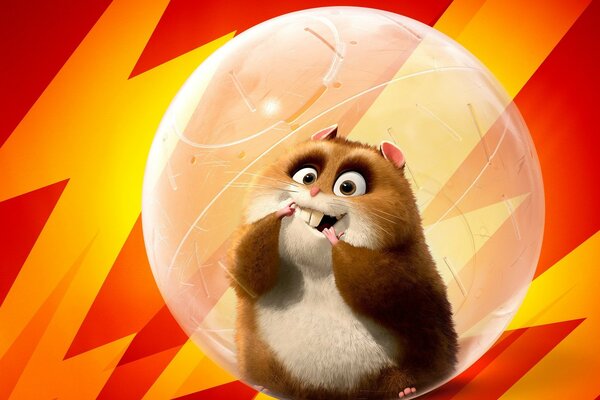 Hamster in einer Blase auf rotem Hintergrund