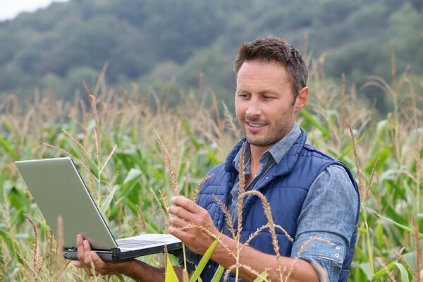 Die Arbeit im Feld online ist einfach