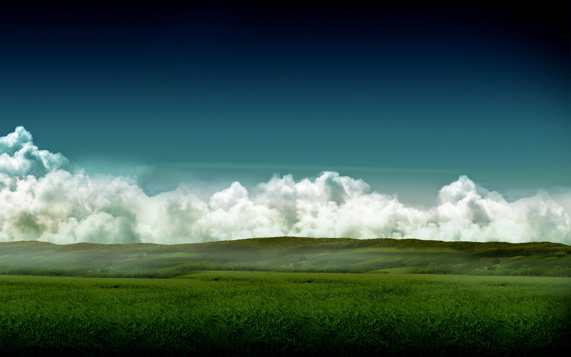 himmel feld gras