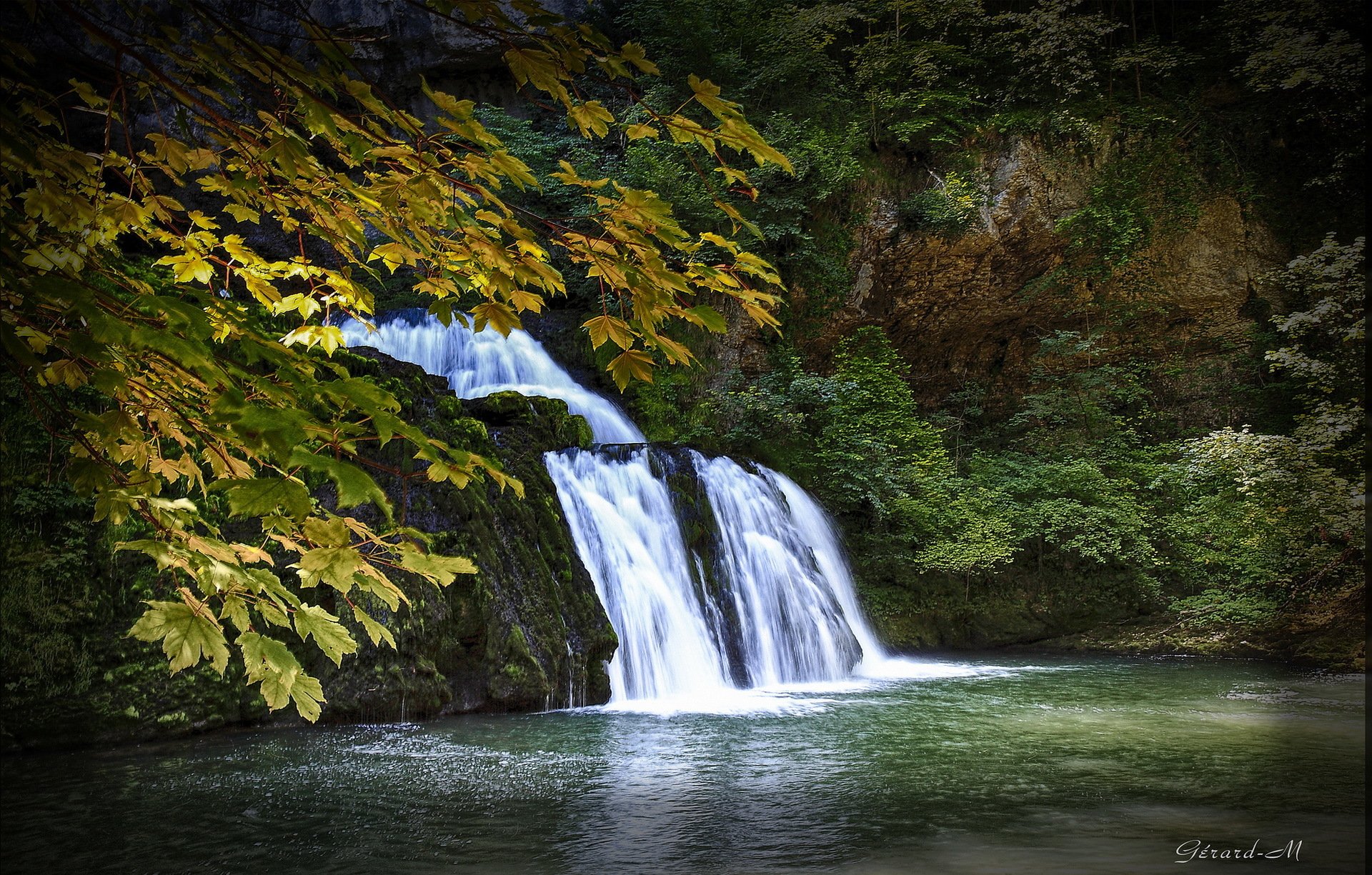 herbst bäume zweige blätter wasserfall