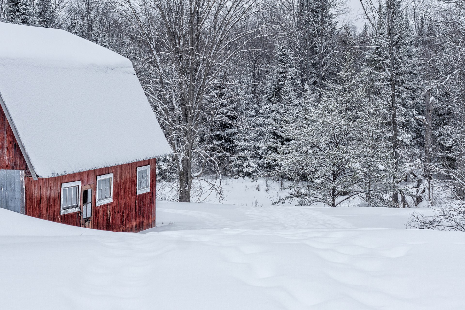 haus gebäude schnee winter wald bäume natur
