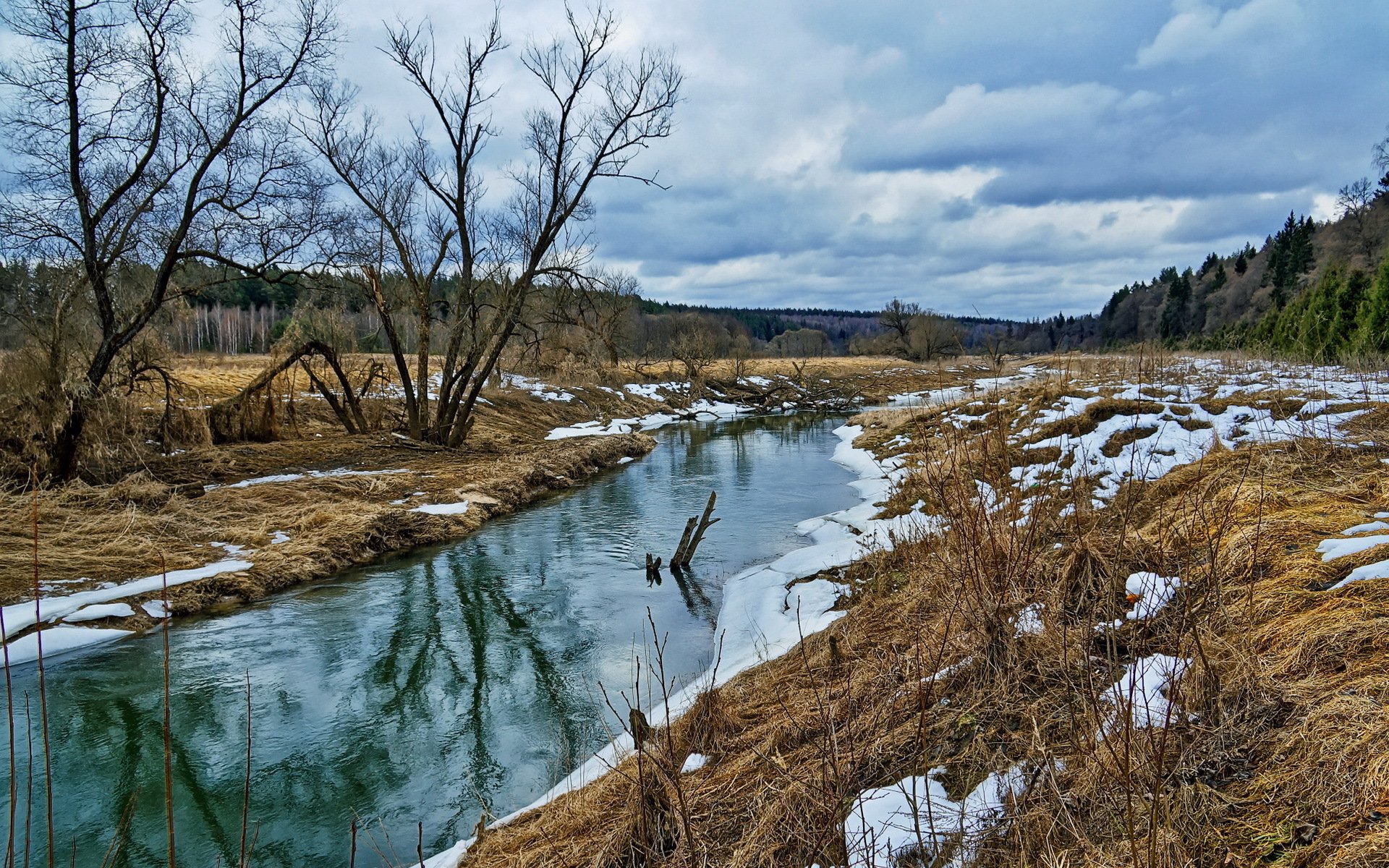 frühling fluss natur