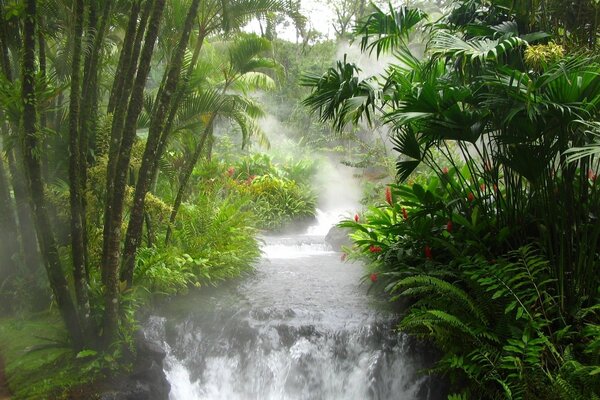 Morgenkühlung an einem nebligen Fluss