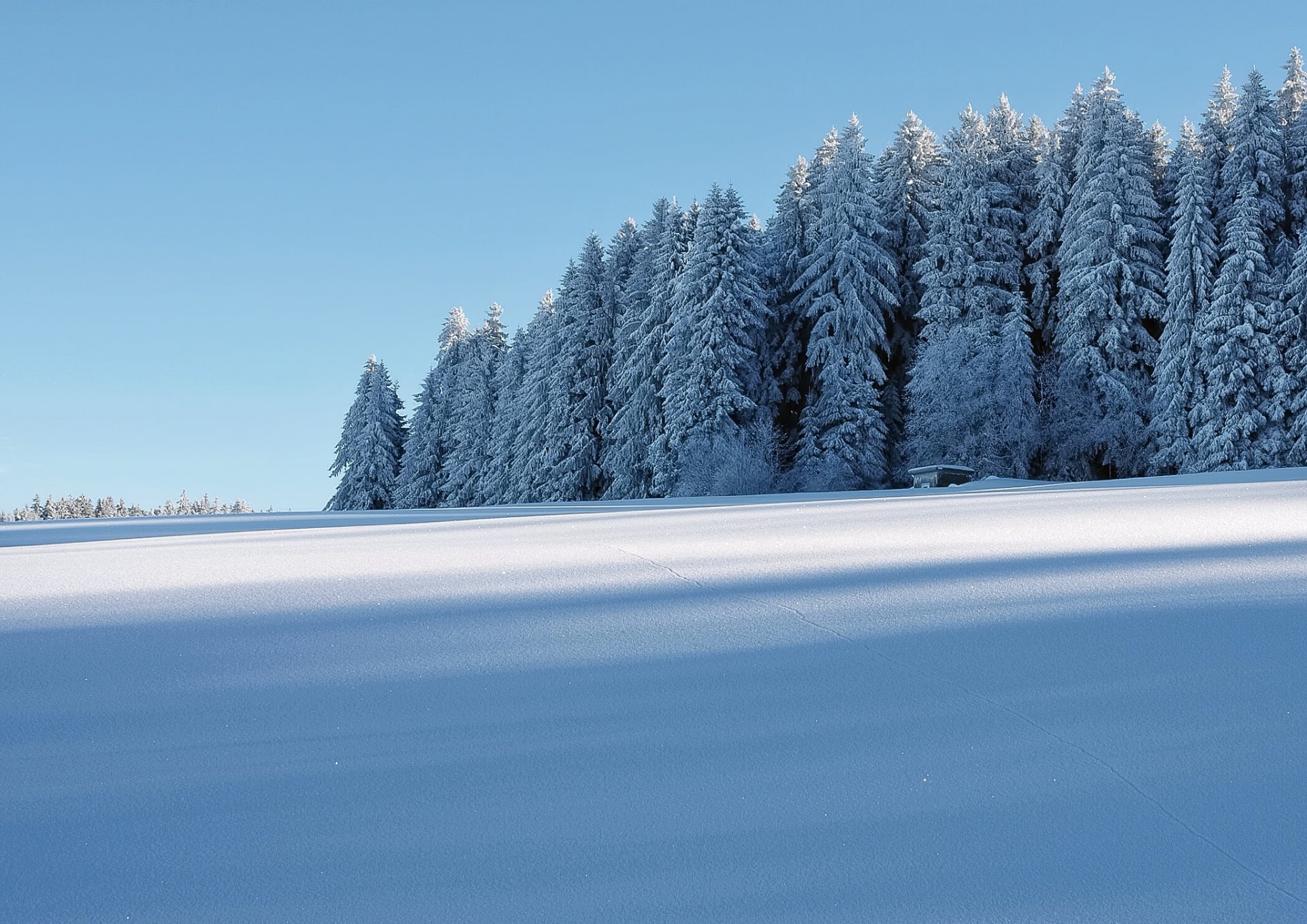 winter schnee wald haus frost