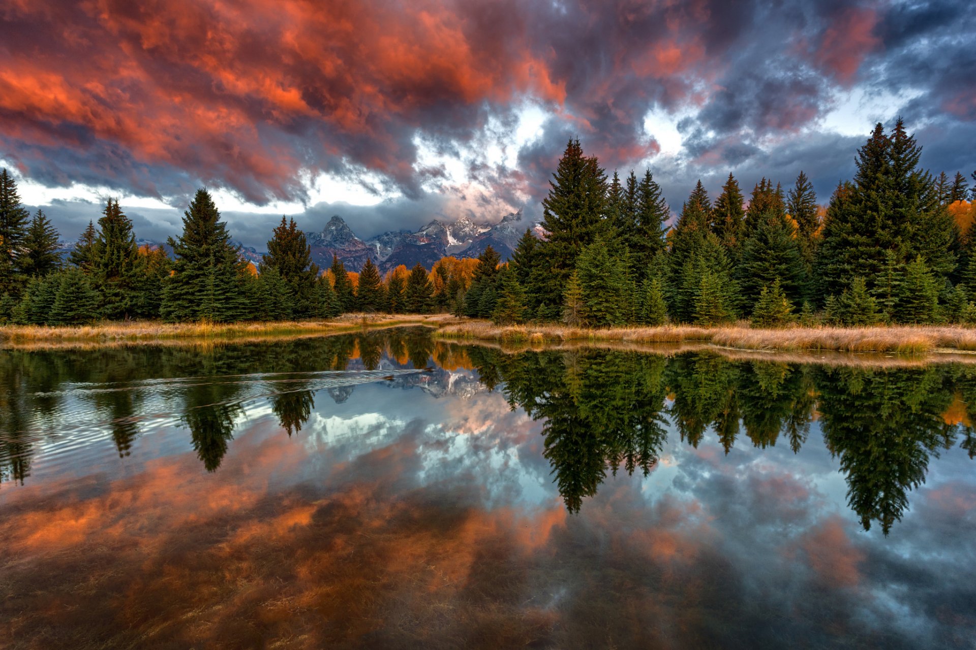 natur usa wyoming grand teton national park snake river schwabachers landung morgen wald berge himmel wolken reflexionen enten