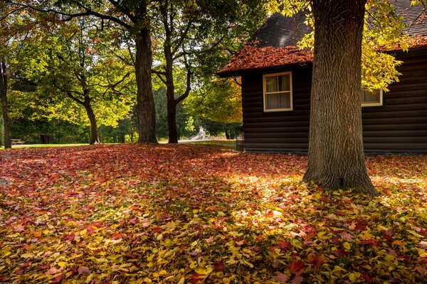 Gemütliches Haus im Herbstwald