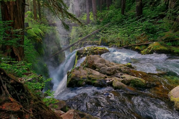 Ein Bergfluss fällt wie ein Wasserfall über die Felsen