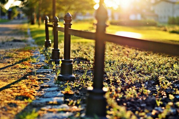 Herbst Sonnenuntergang im Stadtpark