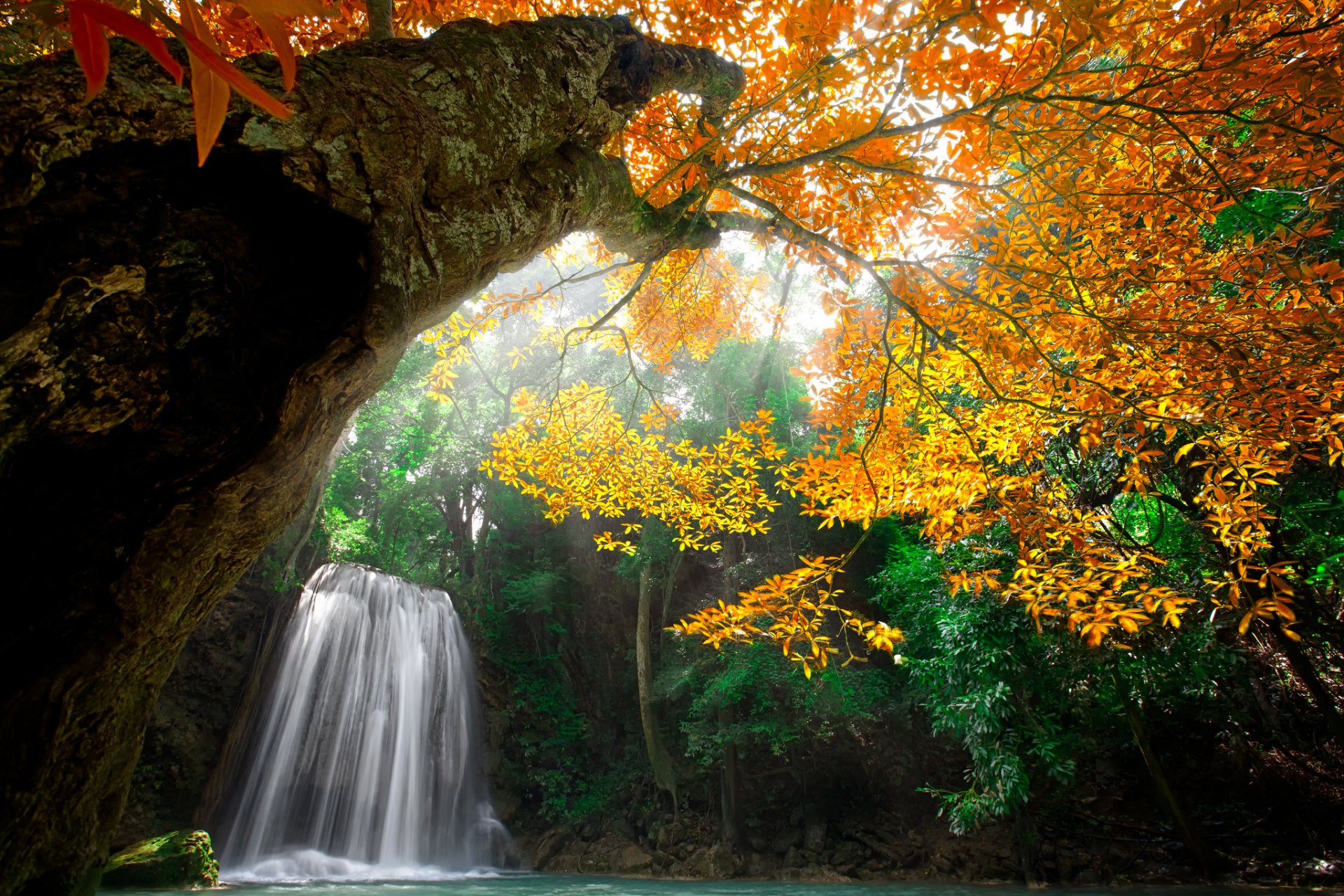 natur wasser wasserfall wald park bäume blätter bunt herbst herbst farben wasser