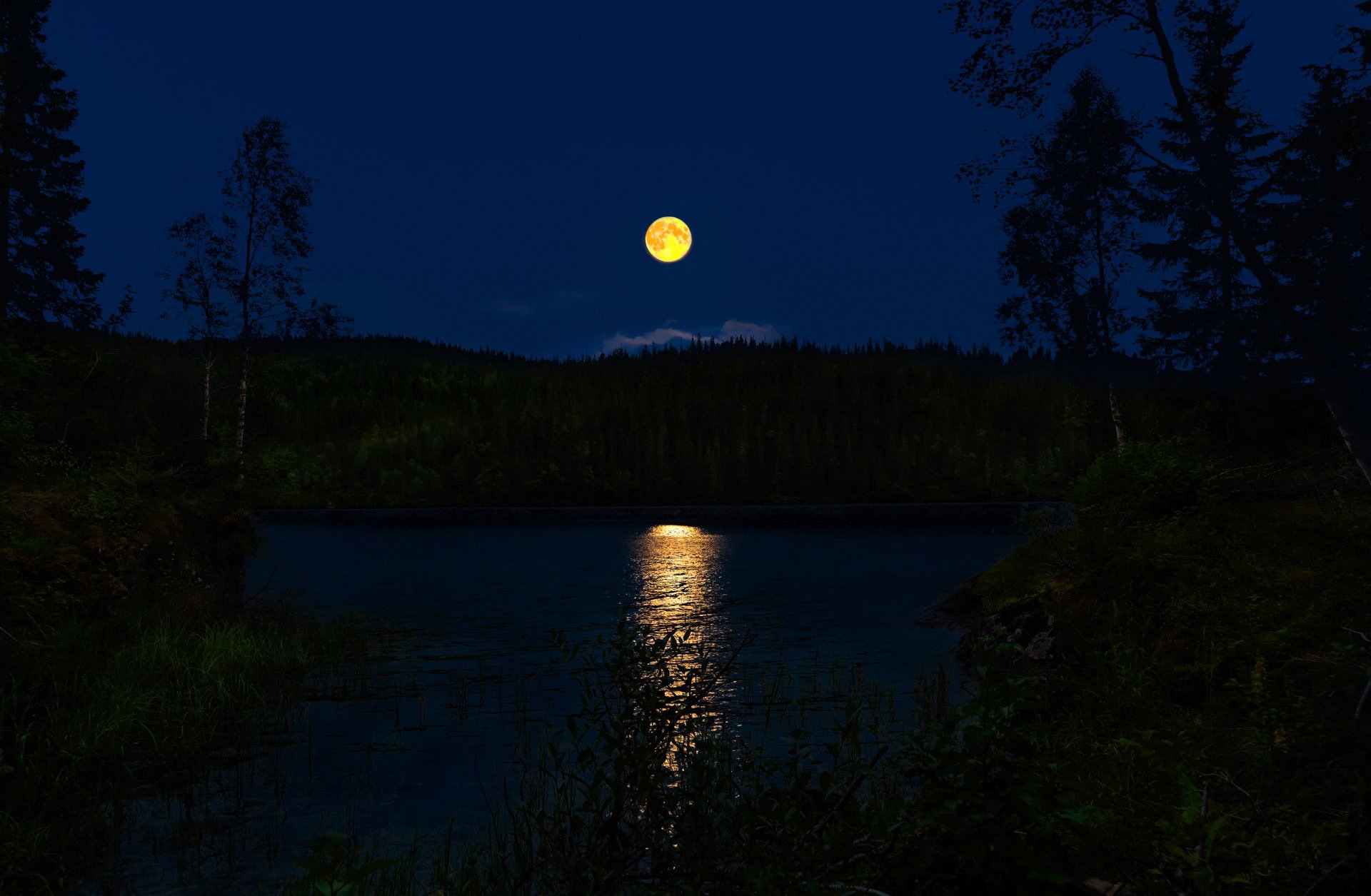 nacht norwegen vollmond mondweg fluss wald