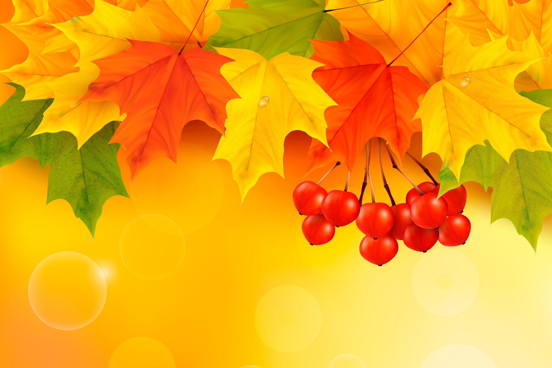 herbst blätter ahorn herbst hintergrund