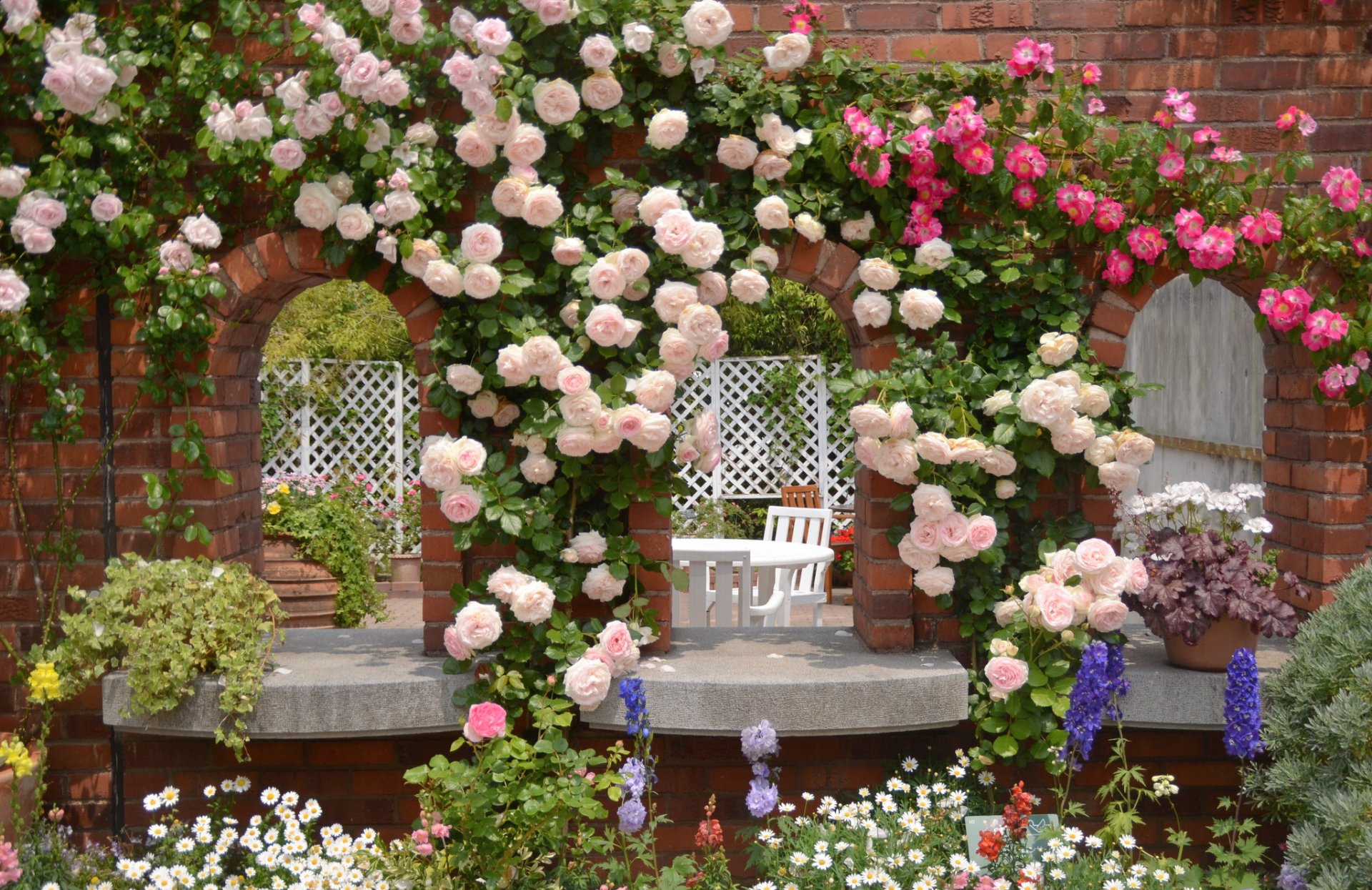 garten rosen gänseblümchen blumen
