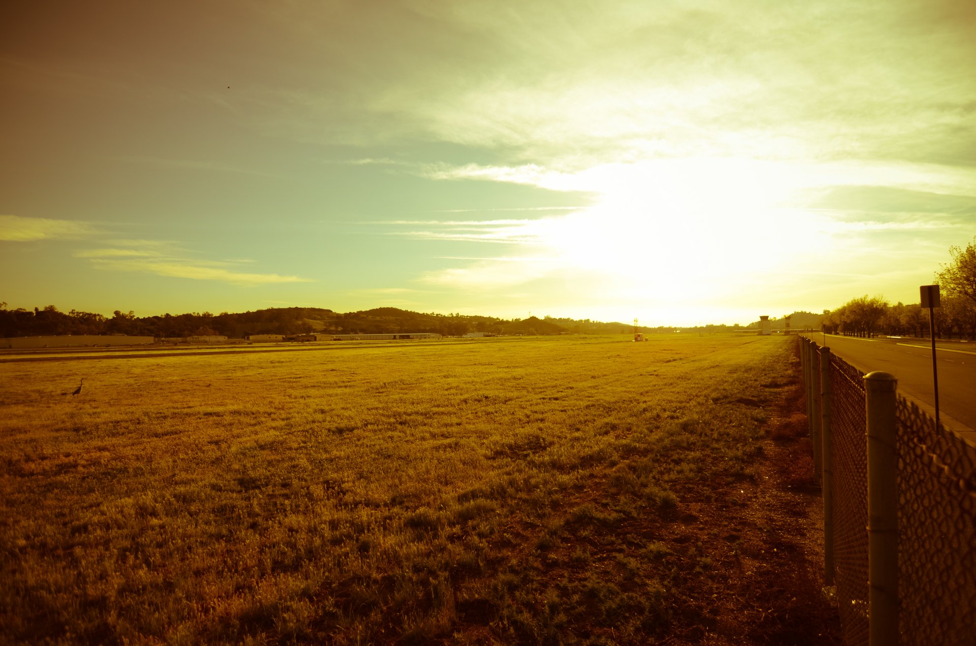 natur landschaft ferne sonne strahlen straße fußweg zaun tor gitter bäume laub blätter gras grün himmel hintergrund tapete widescreen vollbild widescreen verlassen
