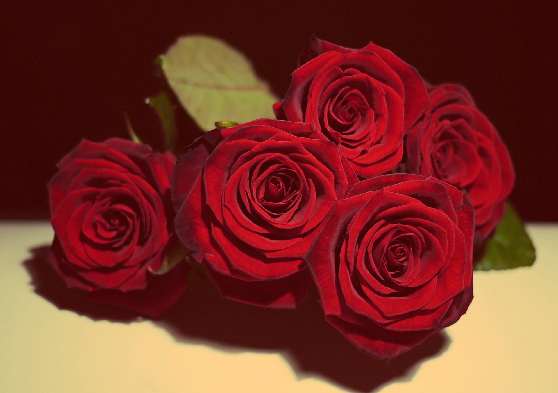 rosen rote rose liebe verliebt romantisch liebesromane geschenk niedlich stillleben vintage blumen blumenstrauß