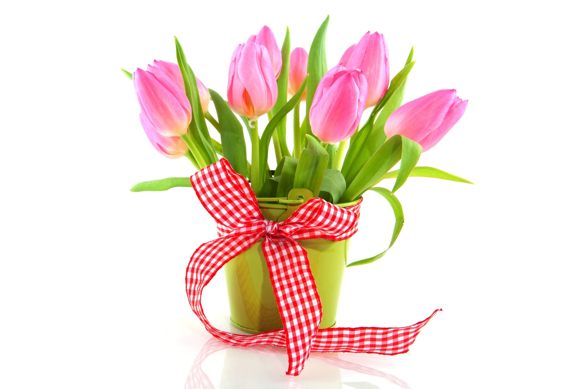 tulpen frisch blumen rosa blumenstrauß band vase