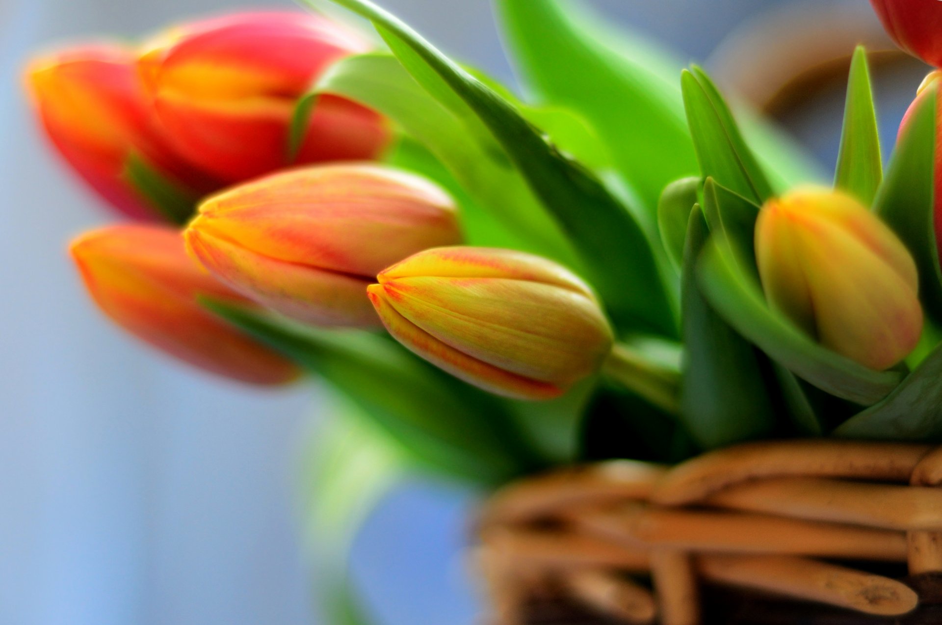 blumen blumenstrauß korb tulpen