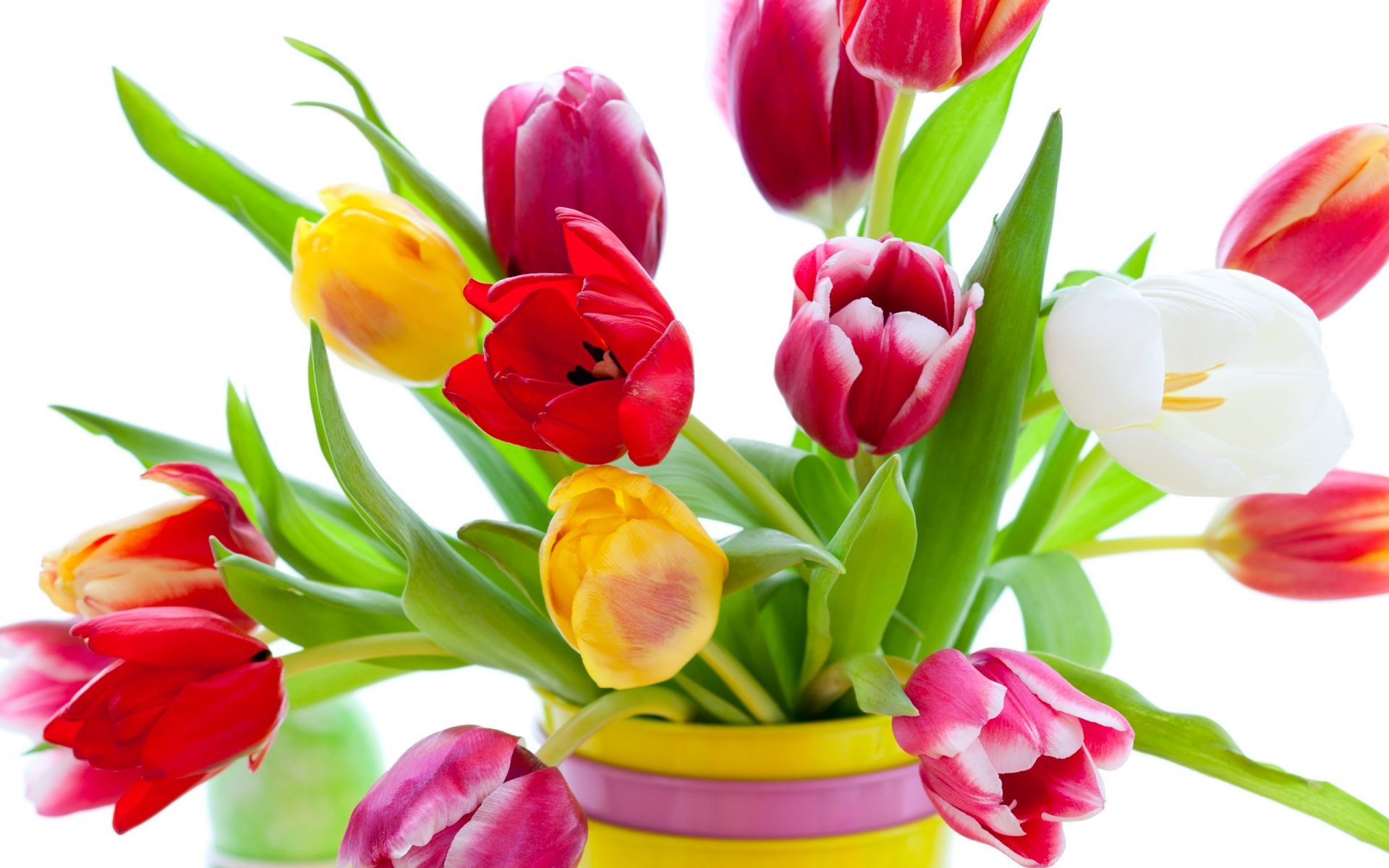 tulpen blumen hell blumenstrauß gelb rot weiß rosa blütenblätter vase schönheit hell bunt rosa weiß