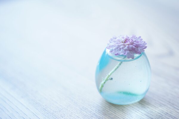 Kleine Blume in einer runden Vase