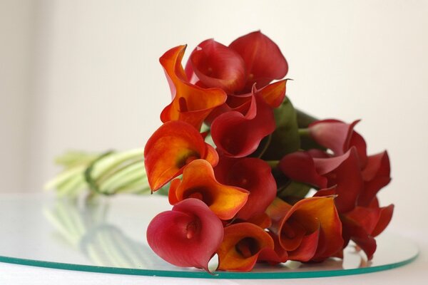Reflexion auf rotem Calla-Glas