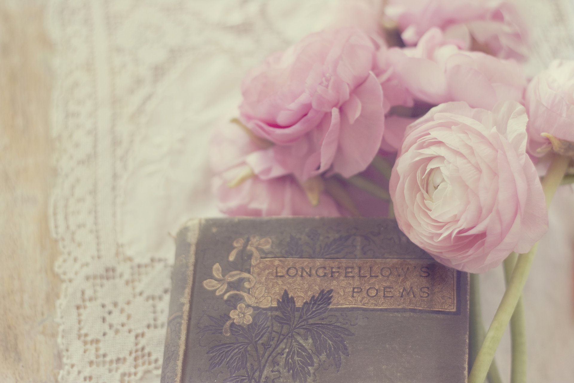 buttercup buttercup blumen knospen blütenblätter weiß rosa buch gedichte