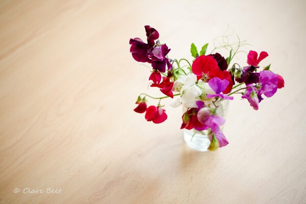 Vase mit schönen Blumen