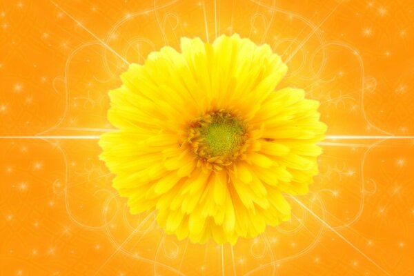 Gelbe Blume Desktop-Bildschirmschoner