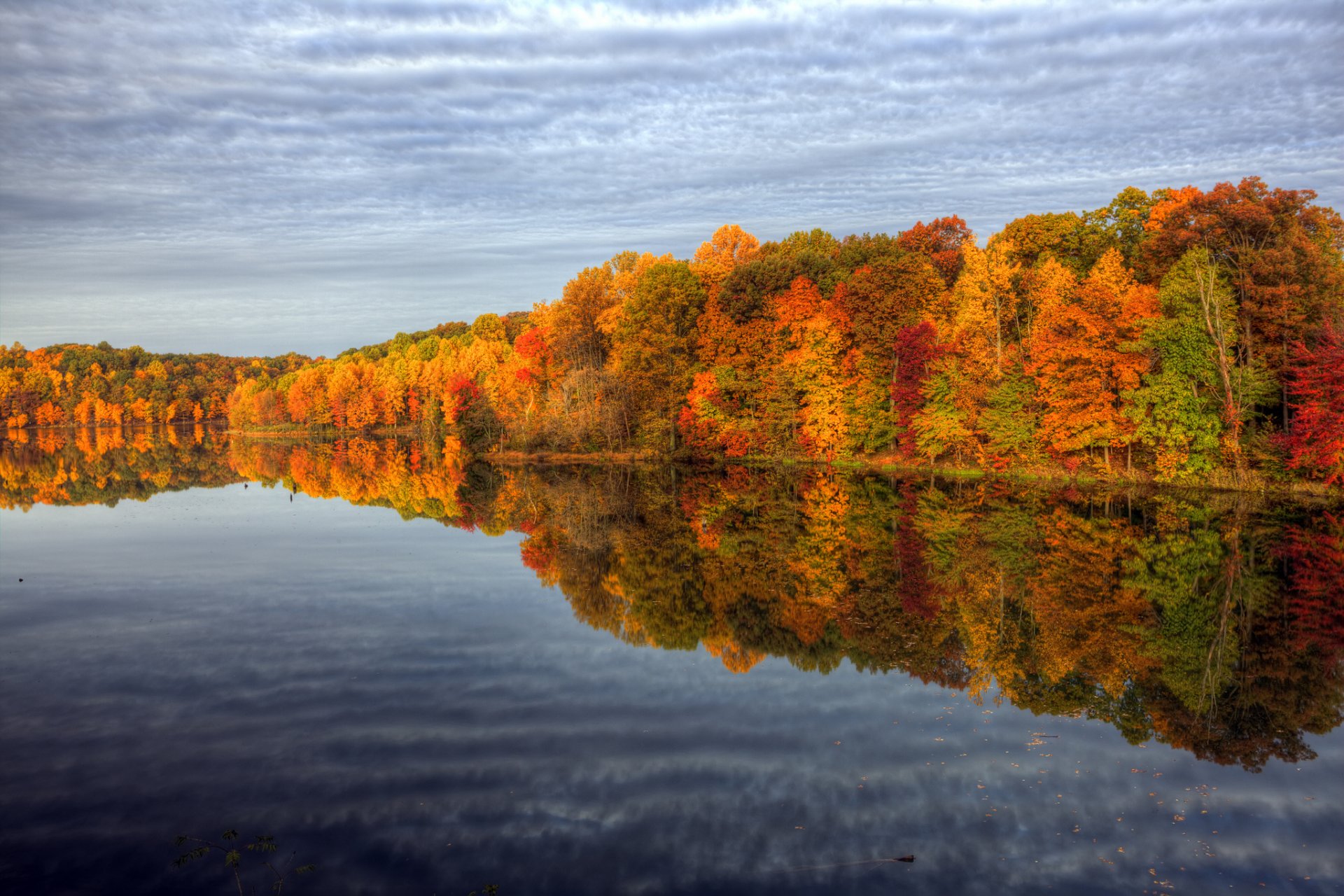 natur herbst farben wasser bäume himmel reflexionen