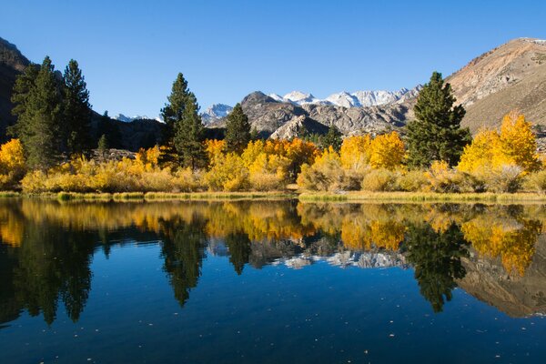 Den Herbstwald im Wasser heizen