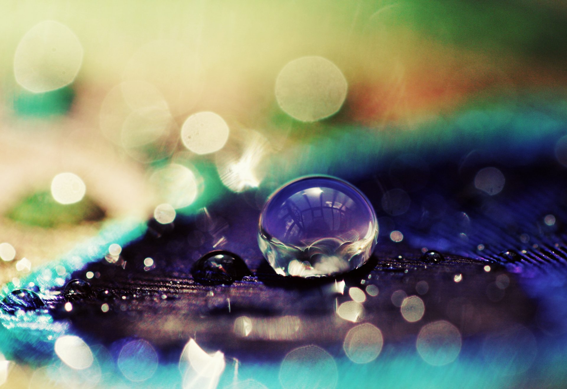 makro tropfen tropfen pailletten bokeh lila blau hintergrund tapete widescreen vollbild widescreen widescreen
