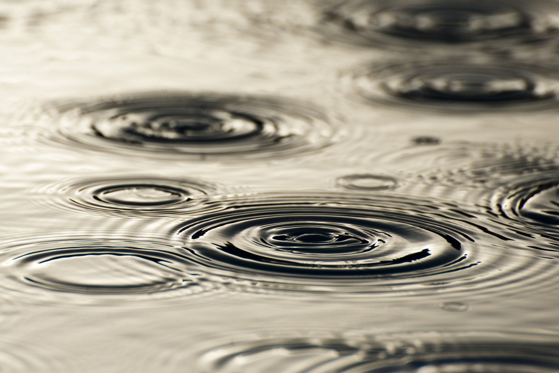 regen wasser tropfen kreise scheidungen