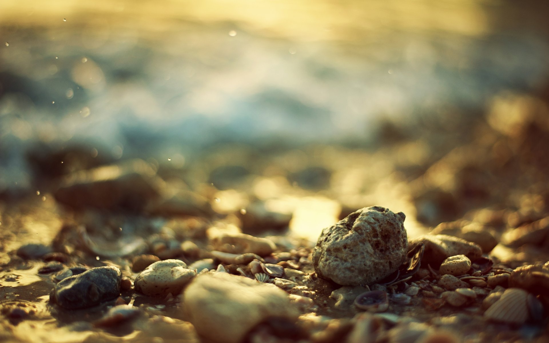 steine muscheln bokeh