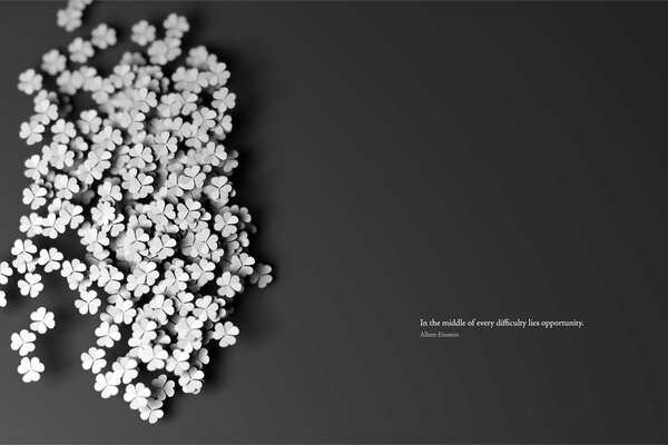 Weißer Klee auf schwarzem Hintergrund mit Zitat