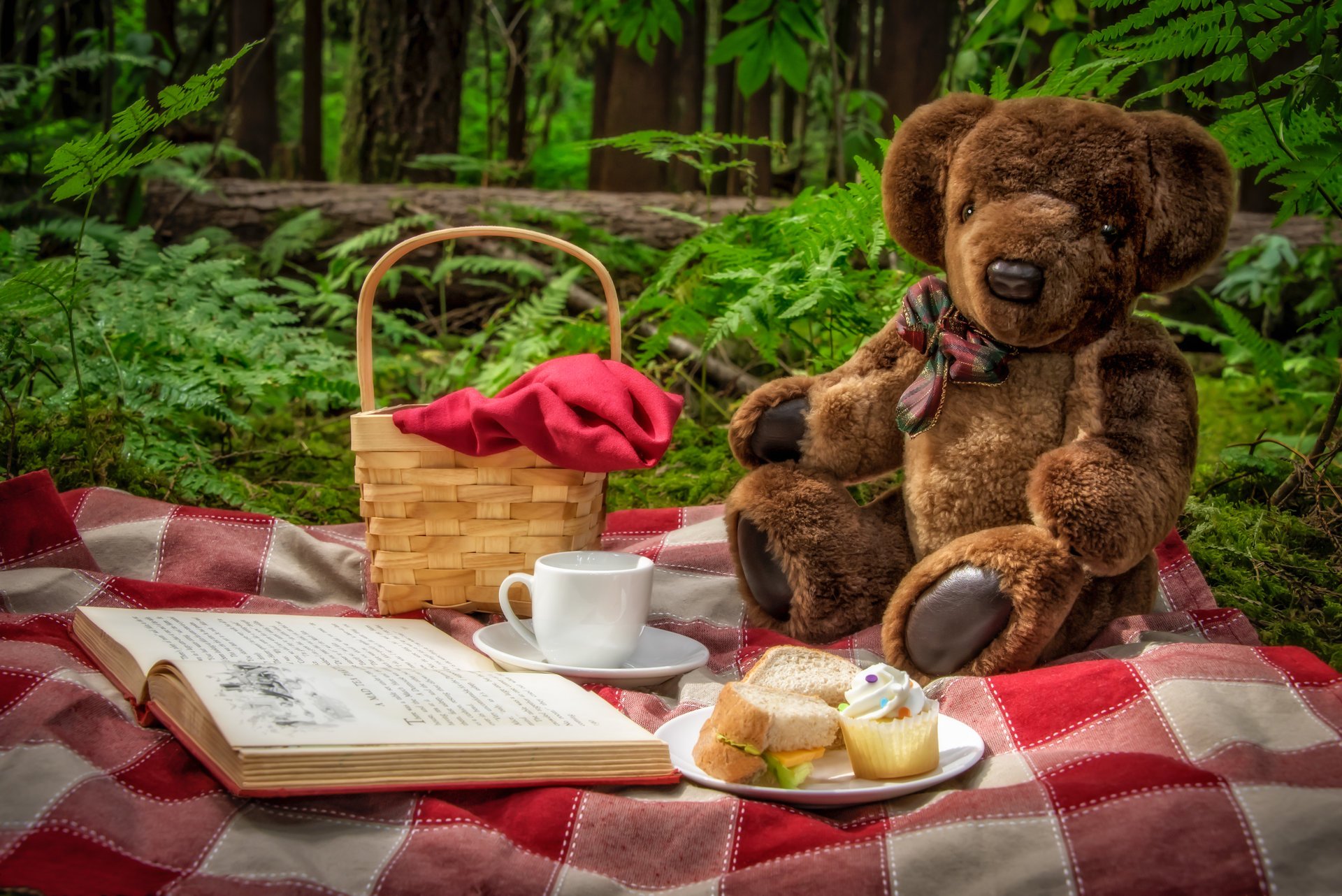 picknick teddybär bär spielzeug korb buch tasse sandwiches natur