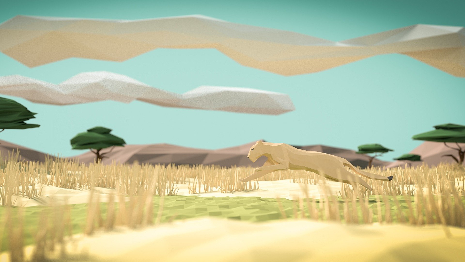 savanne himmel panther katze formen geometrie