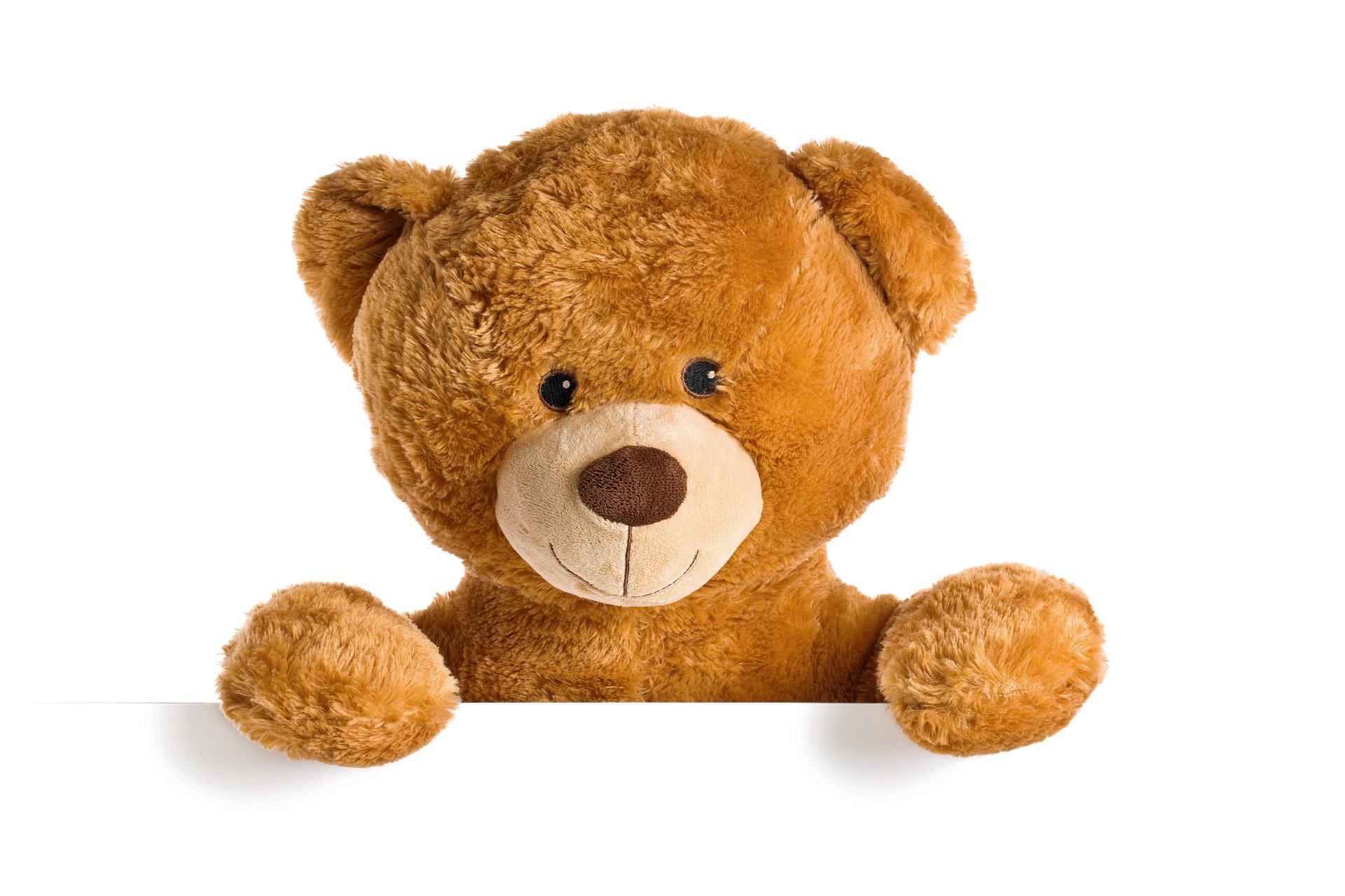 plüsch bär spielzeug teddybär