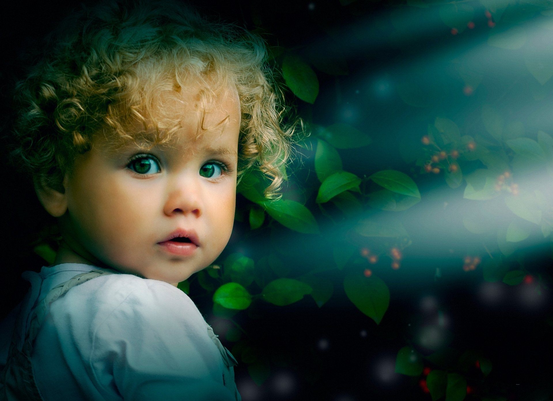 blick blond blätter